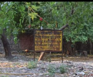 इस इलाके में गरजा DDA का बुलडोजर, अवैध निर्माण को किया गया ध्वस्त