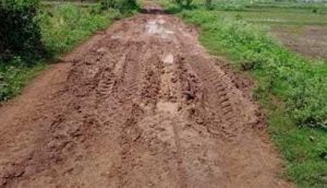 MP: 18 साल से अधूरी 3.5 किमी सड़क: ये ग्रामीणों की मजबूरी है या नेताओं की मर्जी?