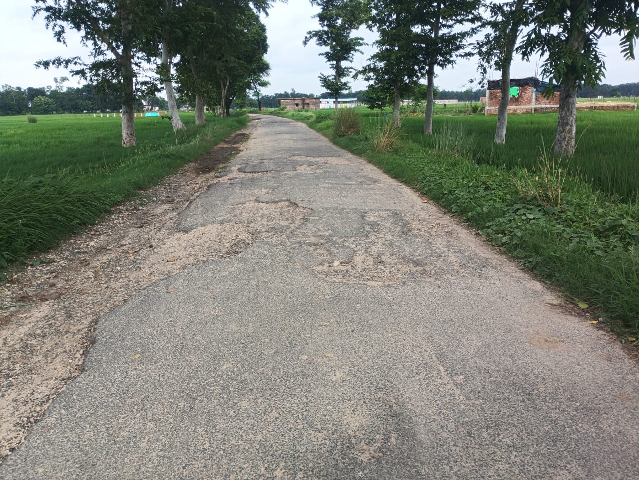 सिद्धार्थनगर में बिस्कोहर–सिंगार जोत रोड जर्जर, ग्रामीणों को हो रही दिक्कत