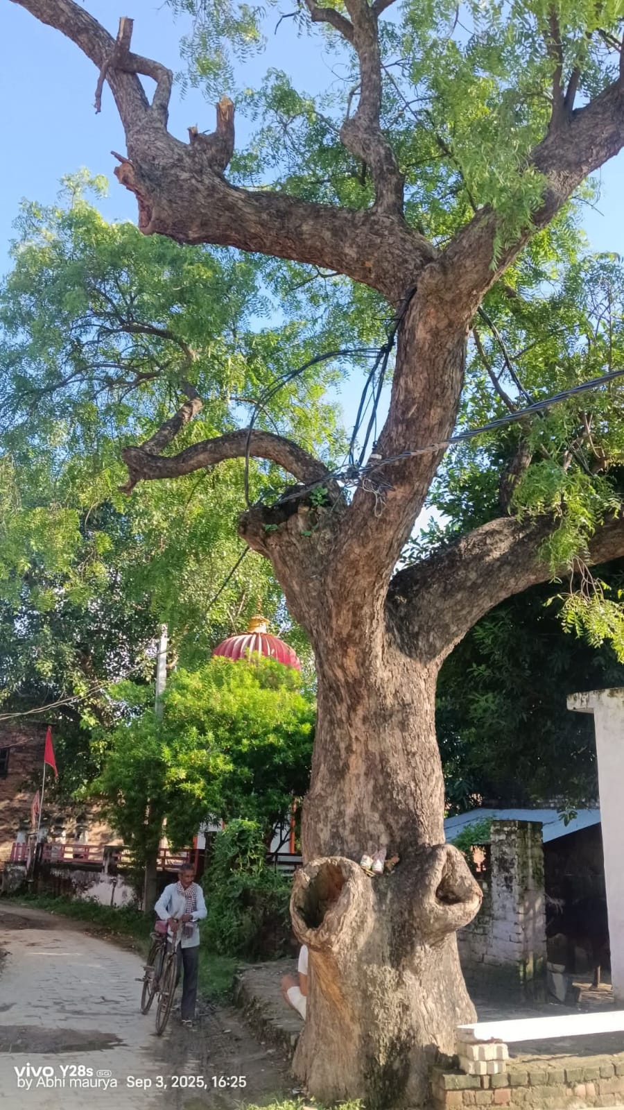 ड़ पर लटके करंट प्रवाहित तार